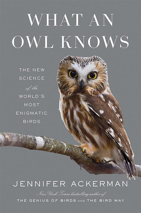 book what an owl knows by jennifer ackerman